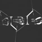 Team von oben im Ruderboot